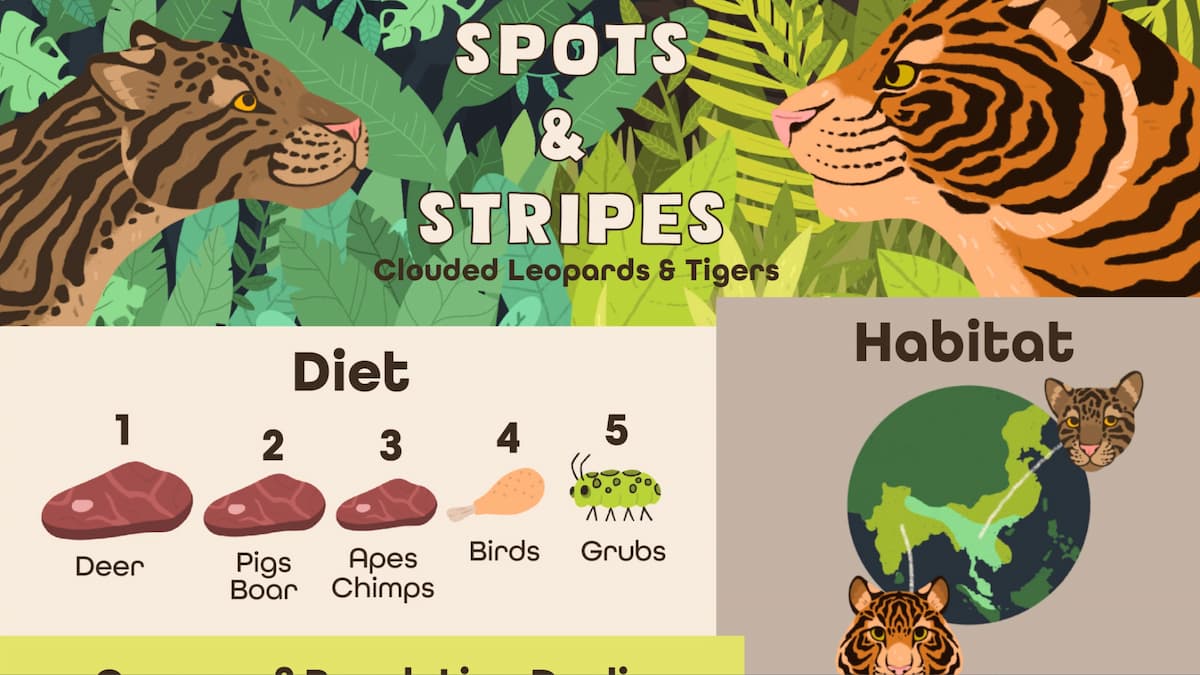 The TROY podcast website homepage